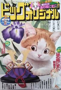 【2024年5月12日号★ビッグコミックオリジナル増刊★送料127円～】西炯子 読切連作「波の間にまに」/ランジェリー・リリィ/港町ブルース