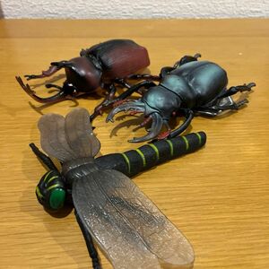 クワガタ カブトムシ　トンボ フィギュア 昆虫