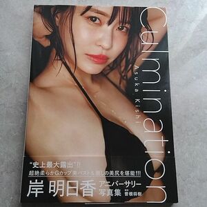 岸明日香 写真集 Culmination