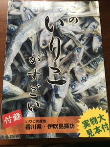 評論・旅行系創作同人誌　10冊セット　コミケ　コミティア　送料込み