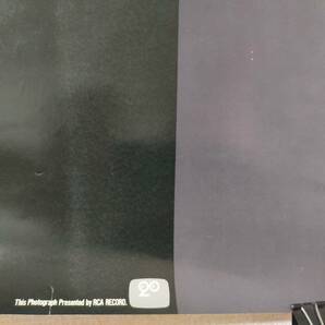 昭和レトロ エルヴィス・プレスリー RCAレコード GXO ワールドボーイ B1サイズ ポスター / エルビス プレスリーの画像7