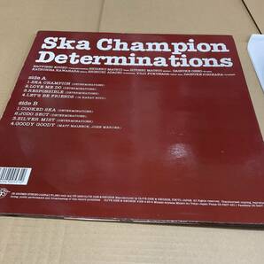 Determinations デタミネーションズ / Ska Champion LP 1996 スカ・チャンピオン の画像3