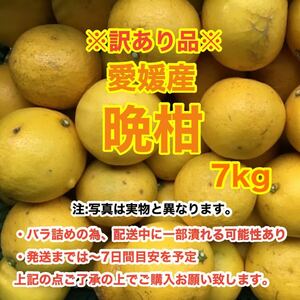 f8愛媛産晩柑 7kg〈訳あり家庭用〉