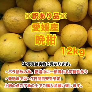f3愛媛産晩柑 12kg〈訳あり家庭用〉