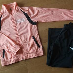 PUMA プーマ★ジャージ上下セット★１５０ｃｍ★キッズジャージ★の画像1