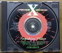 XXC-1001 2000年 再発盤 X エックス ／ VANISHING VISION ヴァニシング・ヴィジョン _画像4