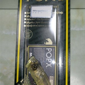 Megabass POP-X(SP-C)No. 248 LASER BEAM MegabassPREMIUM 限定品 の画像2