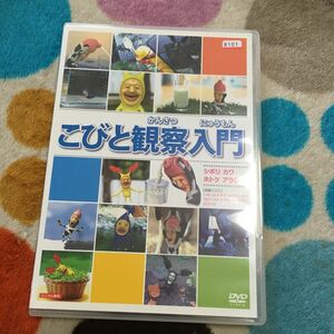 こびとづかん DVD こびと観察入門DVD