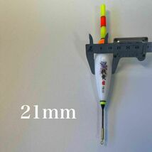 電気ウキ　5号　棒ウキ　3点発光　ハピソン　夜釣り　冨士灯器　ウキ釣り　ヤリイカ　伊豆_画像6