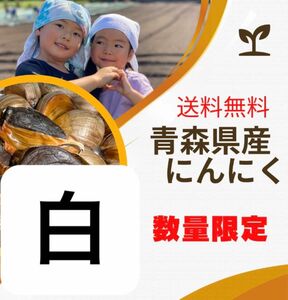 青森県産にんにく　福地ホワイト大粒 500g