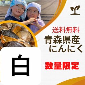 青森県産にんにく　福地ホワイトLバラ 500g