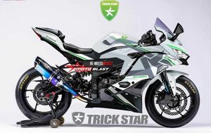 ZX25R カスタムデカールキット　トリックスター