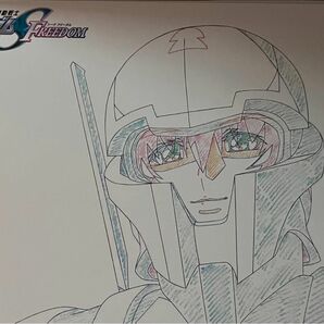 機動戦士ガンダムSEED FREEDOM 5週目　特典　 原画 イラストカード キラ