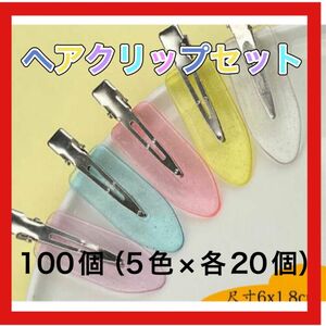 sora_no_sippo様専用 ヘアクリップ 100個セット 5色 クリアカラー ホイップデコ ピン