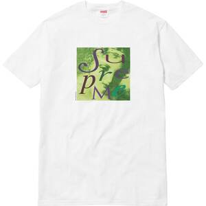 新品 S 2017aw Supreme Venus Tee White シュプリーム ビーナス Tシャツ 白 ボックスロゴ