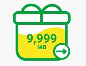 【匿名】mineo マイネオ パケットギフト 約10GB(9999MB)【即決】