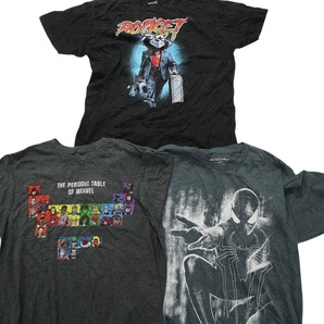 古着卸 まとめ売り マーベル DCコミック 半袖Tシャツ 14枚セット (メンズ L ) タートルズ含む スパイダーマン バッドマン MS5296の画像4