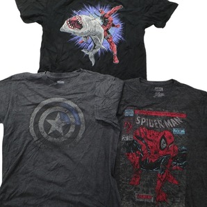 古着卸 まとめ売り マーベル DCコミック 半袖Tシャツ 14枚セット (メンズ L ) タートルズ含む スパイダーマン バッドマン MS5296の画像5