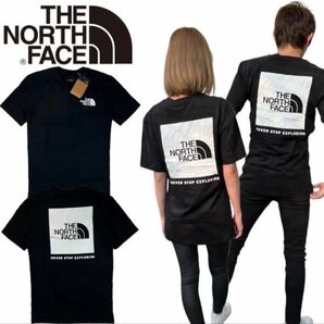 THE NORTH FACE　 ノースフェイス　 バック　ロゴ　Tシャツ　半袖