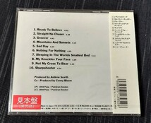 ★未開封品◆エレクトリック・ボーイズ/フリーホィーリン ELECTRIC BOYS/FREEWHEELIN’ 国内盤廃盤_画像2