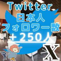 ■Twitter ツイッター X エックス■＋250人 日本人フォロワー増■企業様向け SNS フォロ爆 増加 プロモーション 拡散■_画像1