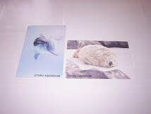 小樽水族館　イルカ・ラッコポストカード2枚　未使用品_画像1