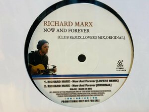 即決LP RICHARD MARX / Now And Forever Club Remix Lovers Remix / リチャード・マークス RM-001 L24