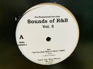 即決LP Sounds of R&B Vol.5 Mya Do You Only Want to Dance SON005 L24