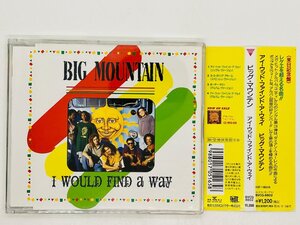 即決CD BIG MOUNTAIN I WOULD FIND a WAY / ビッグ マウンテン アイ ウッド ファインド ア ウェイ / 帯付き BVCG 8802 U06