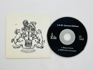 即決CD J.A.M Just Another Mind の特典CD Limited Edition / 非売品 Volcano Crisis Y27