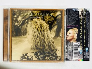 即決CD CASSANDRA WILSON / BELLY OF THE SUN / カサンドラ・ウィルソン / ベリー・オブ・ザ・サン / 帯付き TOCJ 66137 X17