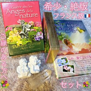 希少　ドリーン・バーチュー　Flower Therapy Oracle Cardsフラワーセラピーオラクルカード　フランス　金縁