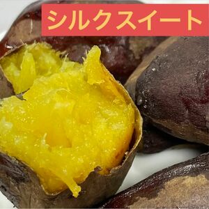 シルクスイートSサイズ1㎏