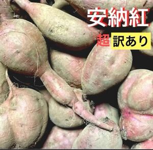 超訳あり安納紅2S～Lサイズ混合5kg