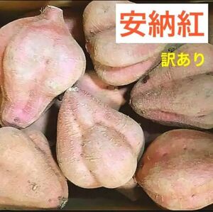 訳あり安納紅大きな芋(400～900ｇ)8.5kg