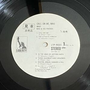 ●見本盤 MAO/CALL ON ME LPレコード●の画像8