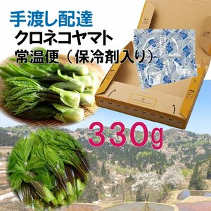 【早期予約に限り100円引】【保冷剤入り】[330g] 豪雪地帯の 天然こしあぶら / 収量希少 山菜の女王