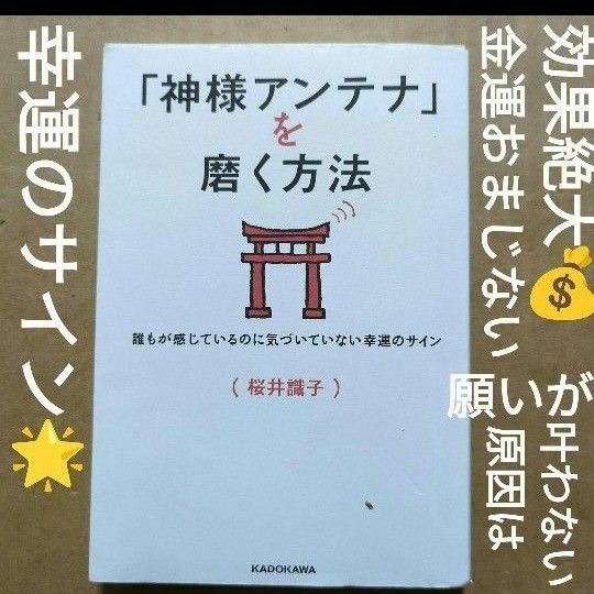 「神様アンテナ」を磨く方法 : 誰もが感じているのに気づいていない幸運のサイン　桜井 識子　スピリチュアル　開運