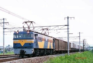 【鉄道写真】EF65 116 貨レ [5000142]