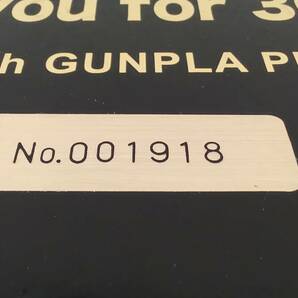 GUNDAM 30th GUNPLA PREMIUM BOX PG MG HG 1/144 1/100 1/60 1/48 30th ANNIVERSARYの画像8