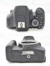★【限定！極上美品 一眼レフスターティングセット】 Canon EOS Kiss X5 ★ EF-S18-55mm IS EF55-200mm II USM_画像6