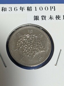 昭和36年稲１００円銀貨未使用