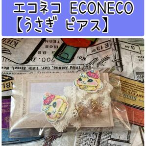 No346 エコネコECONECO【うさぎ ピアス】カテゴリ変更可能◎