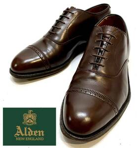 ALDEN #900 パンチドキャップトゥ レースアップレザーシューズ オールデン 革靴 ビジネス カーフ ブラウン 8E 26cm ダービー オックス