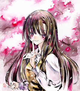 Art hand Auction Hand-drawn illustration ◆Creation ◆Shikishi ◆Sumi painting Cherry blossoms, comics, anime goods, hand drawn illustration