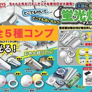 本当に光る！　蛍光灯　マスコット ガチャ　全5種　コンプ