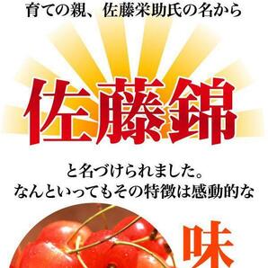 2個出品 ご予約 訳あり 色薄 山形県産 さくらんぼ 佐藤錦 サイズ 不定 1kg 産地直送 6月末から順次出荷 さんきん1円の画像2