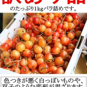 1個出品 ご予約 訳あり 色薄 山形県産 さくらんぼ 佐藤錦 サイズ 不定 1kg 産地直送 6月末から順次出荷 さんきん1円の画像5