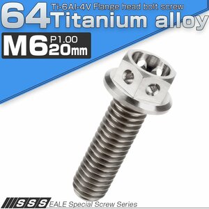 64チタンボルト M6×20mm P1.00 ホールヘッド 六角ボルト フランジ付き六角ボルト チタン原色 Ti6Al-4V JA781