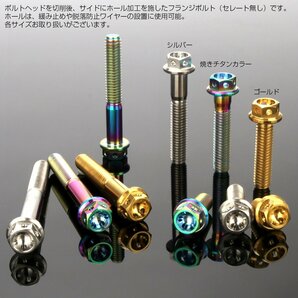 64チタンボルト M6×10mm P1.00 ホールヘッド 六角ボルト フランジ付き六角ボルト チタン原色 Ti6Al-4V JA775の画像4